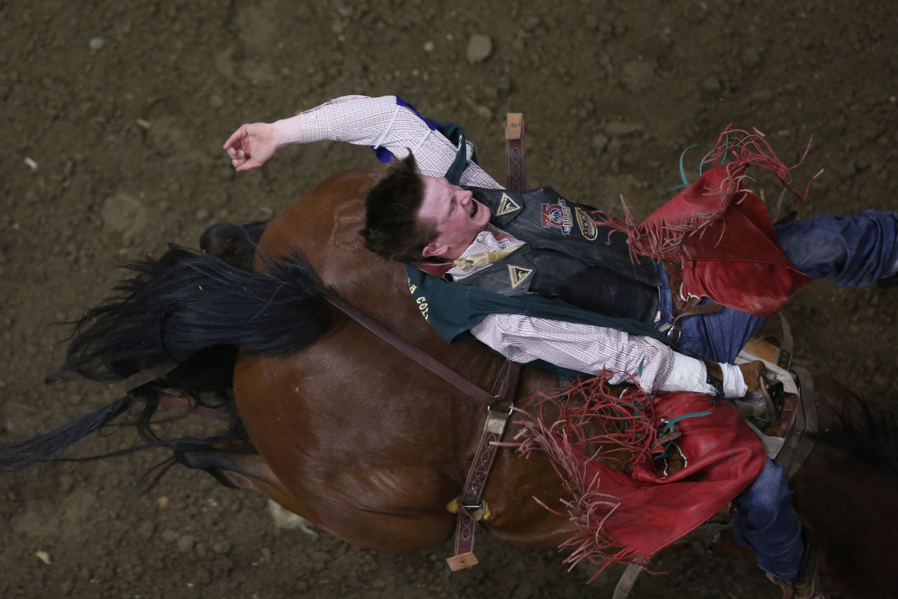 CNFR